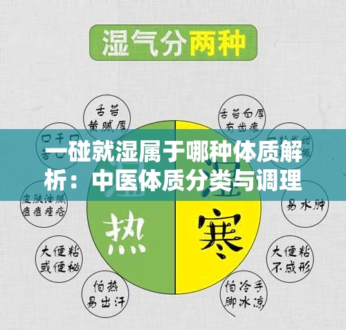 一碰就湿属于哪种体质解析：中医体质分类与调理建议