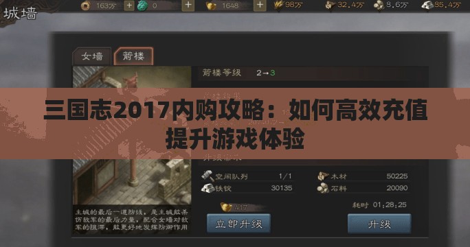 三国志2017内购攻略：如何高效充值提升游戏体验