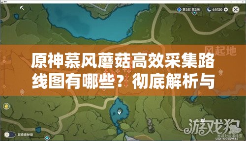 原神慕风蘑菇高效采集路线图有哪些？彻底解析与实用技巧