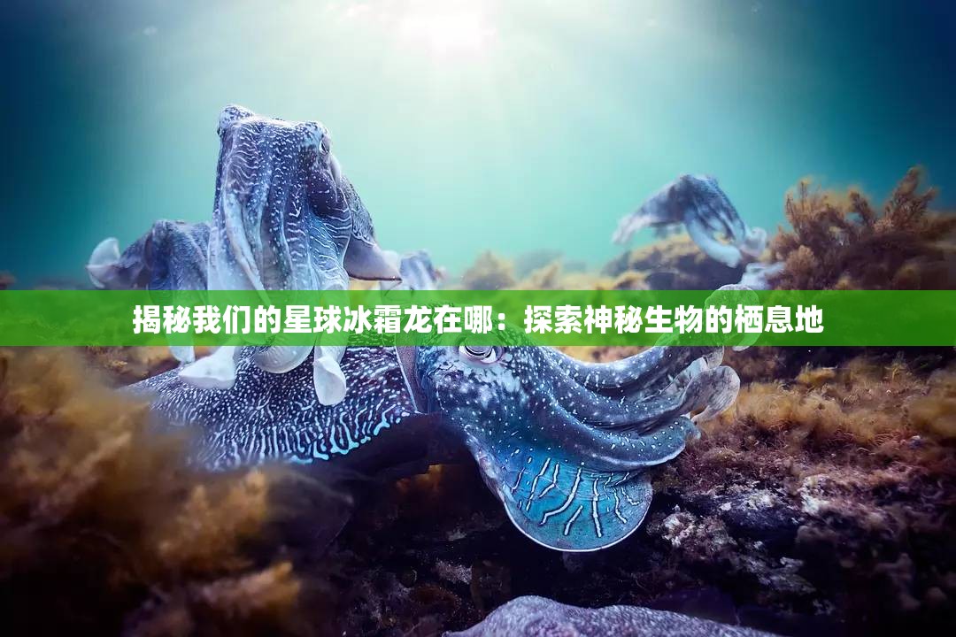 揭秘我们的星球冰霜龙在哪：探索神秘生物的栖息地