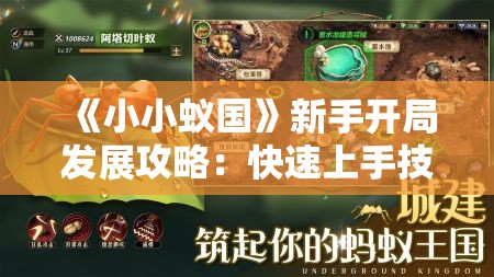 《小小蚁国》新手开局发展攻略：快速上手技巧