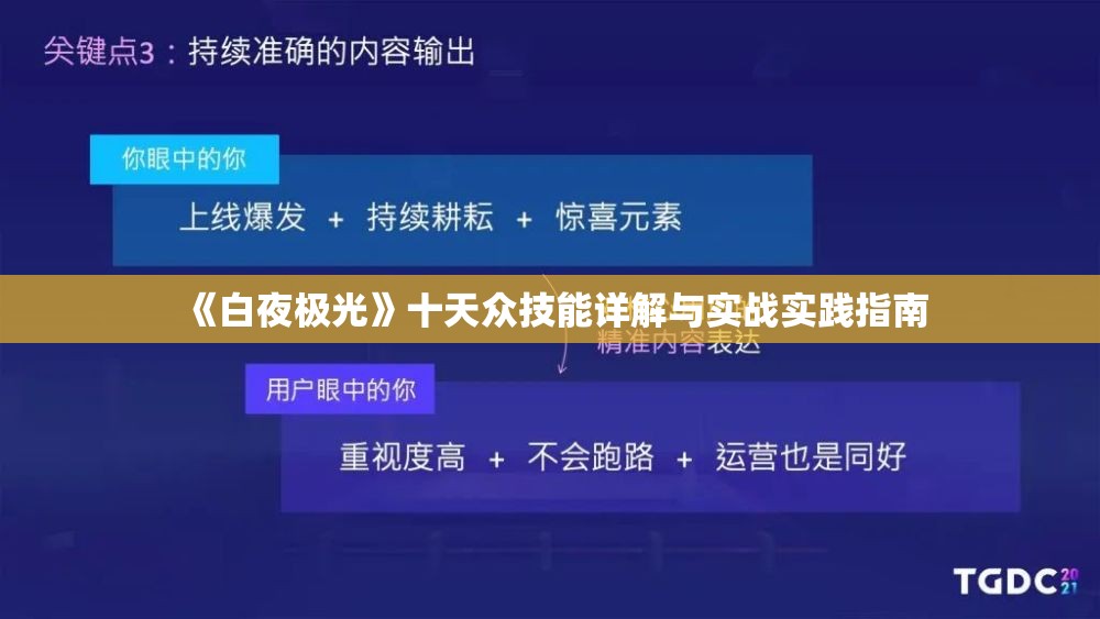 《白夜极光》十天众技能详解与实战实践指南