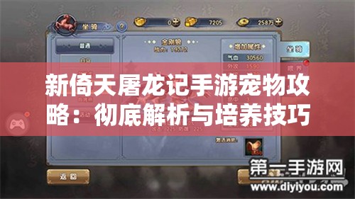 新倚天屠龙记手游宠物攻略：彻底解析与培养技巧