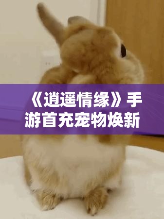 《逍遥情缘》手游首充宠物焕新 京剧风的小兔兔“兔叽者”来啦