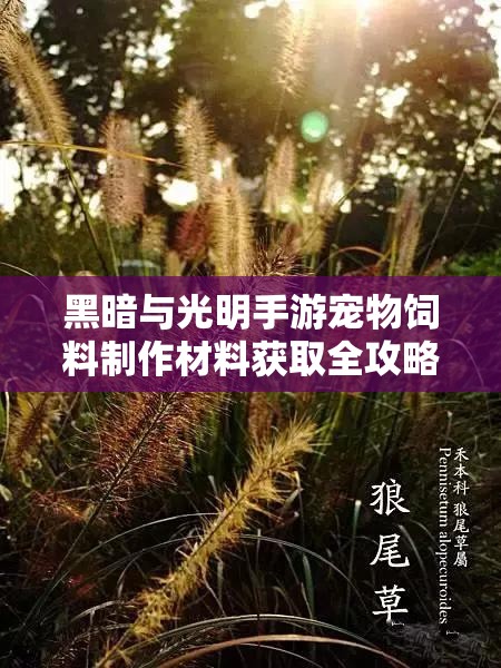 黑暗与光明手游宠物饲料制作材料获取全攻略