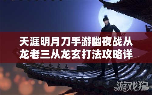 天涯明月刀手游幽夜战从龙老三从龙玄打法攻略详解