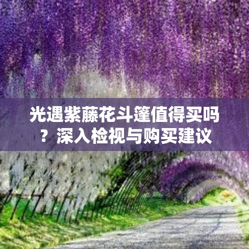 光遇紫藤花斗篷值得买吗？深入检视与购买建议